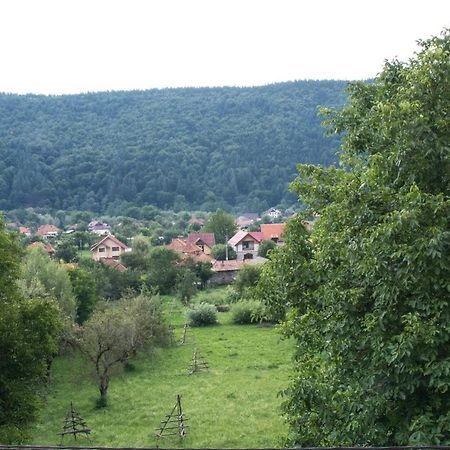 Pensiunea Floricel Stoeneşti Exterior foto