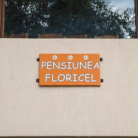 Pensiunea Floricel Stoeneşti Exterior foto
