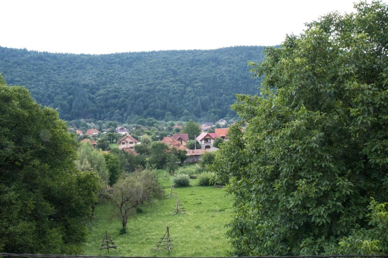 Pensiunea Floricel Stoeneşti Exterior foto