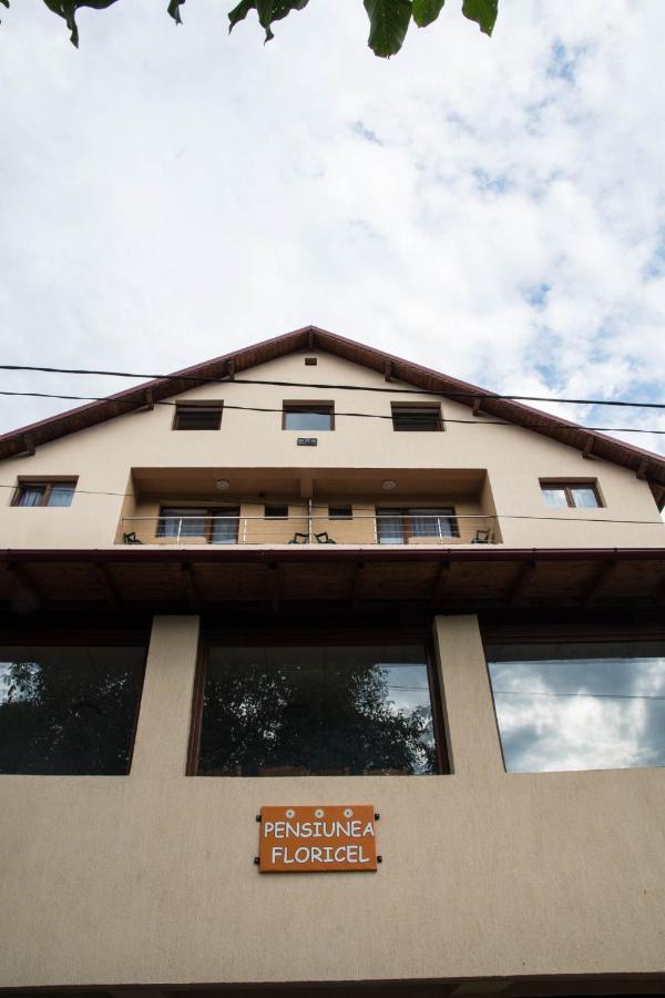 Pensiunea Floricel Stoeneşti Exterior foto