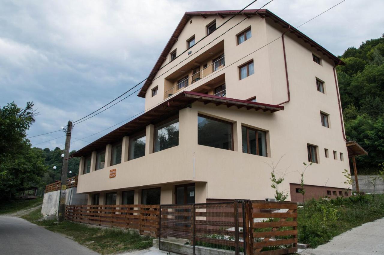 Pensiunea Floricel Stoeneşti Exterior foto