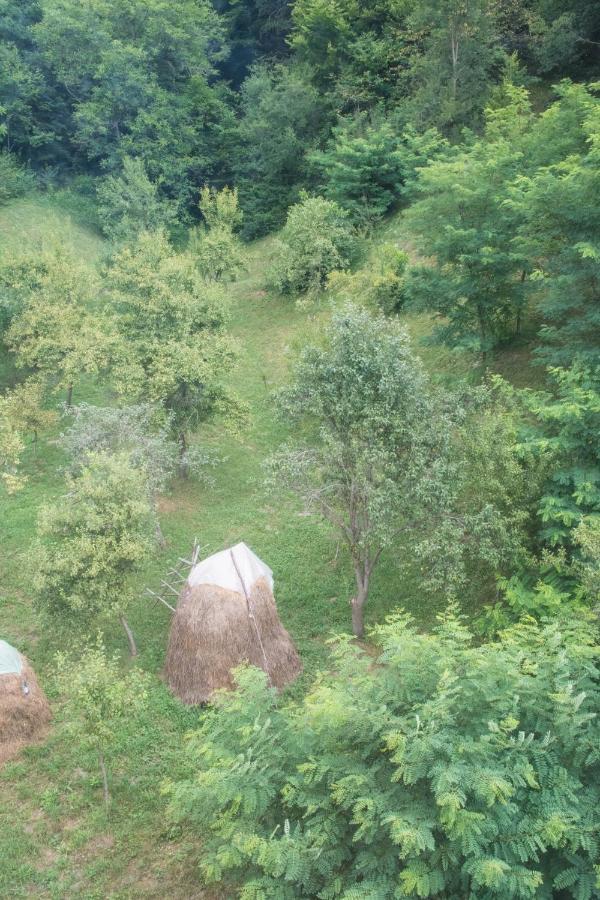 Pensiunea Floricel Stoeneşti Exterior foto